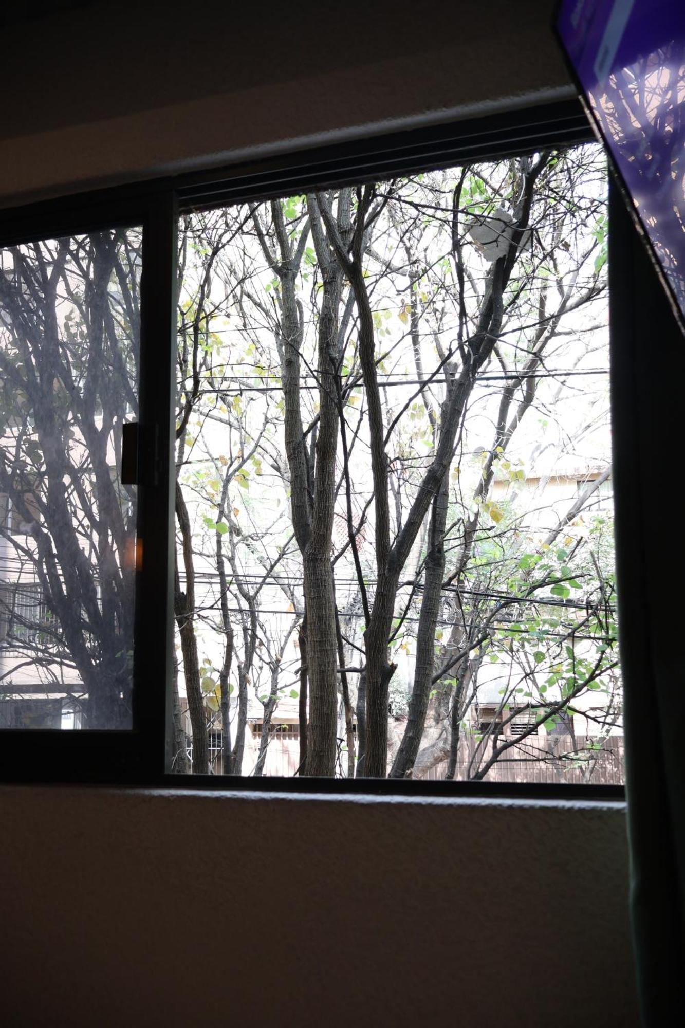 Sanrafa Polanco I México DF